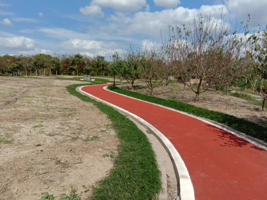 向化镇米新市民健身步道