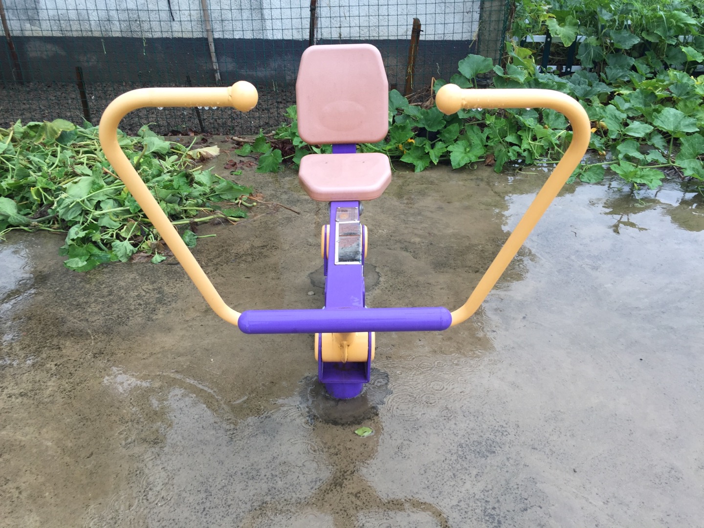 划船器
