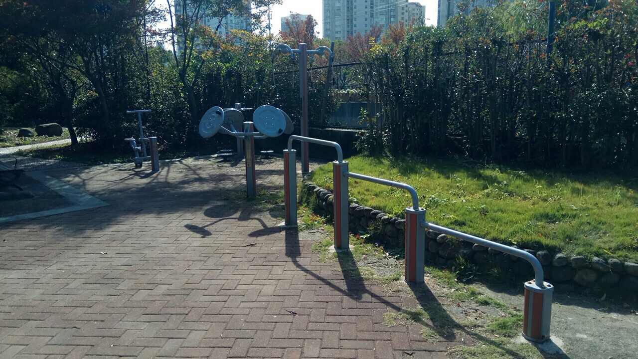 真如街道金鼎公寓健身苑点