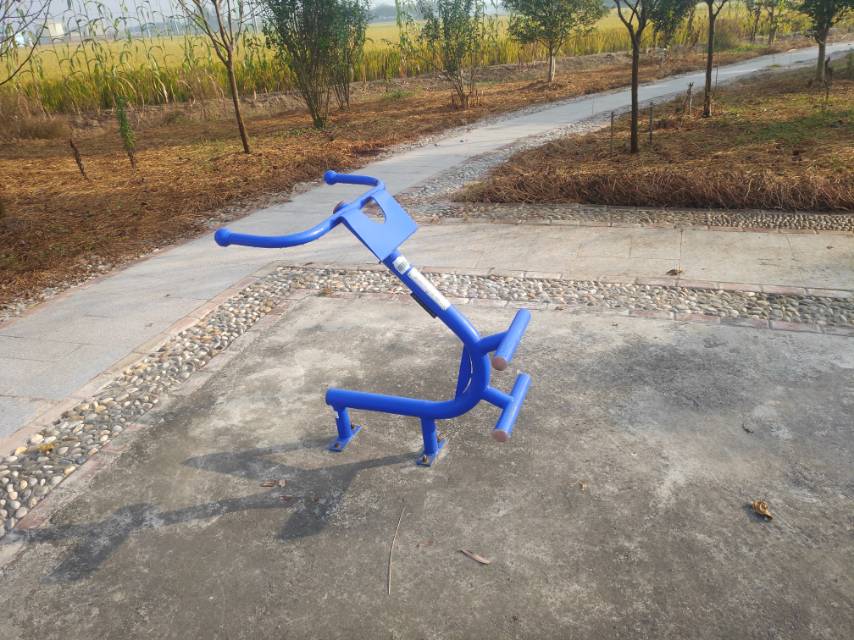背肌训练器