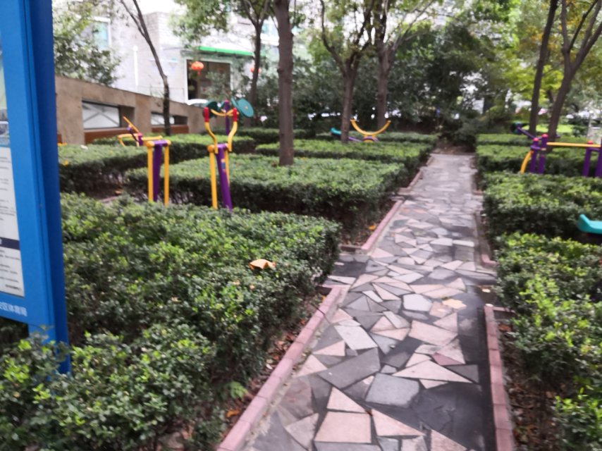 静安区芷江西路街道三兴居委健身点（中兴路1258弄）