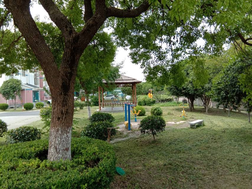育苑小区1868弄中区市民健身点