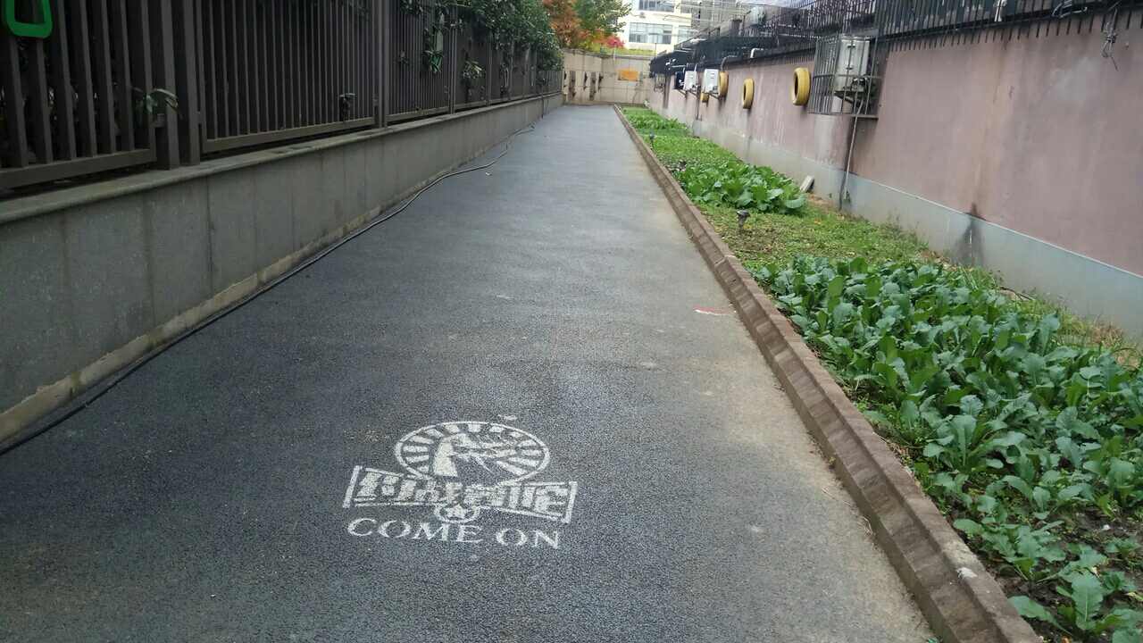曹杨花苑市民健身步道2