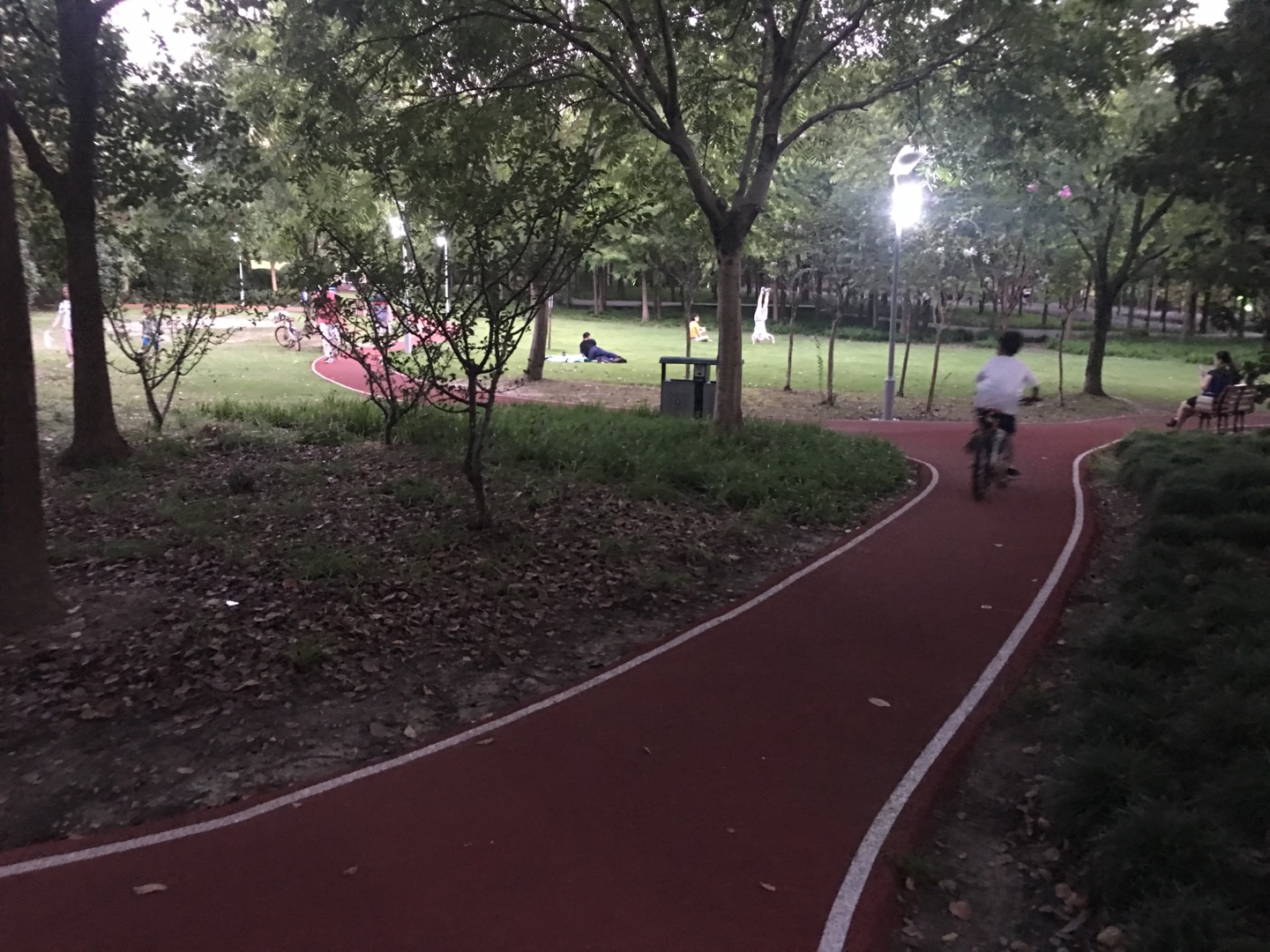 滨江公园健身步道