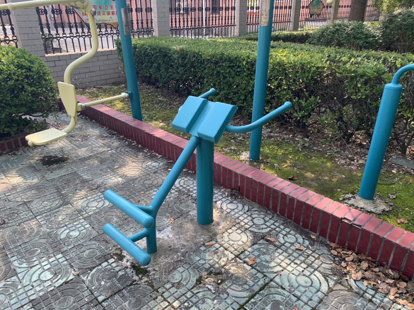 背肌训练器