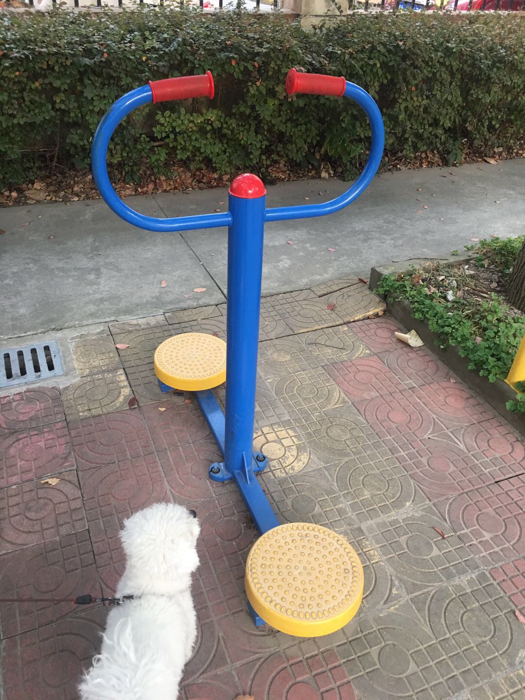 扭腰器