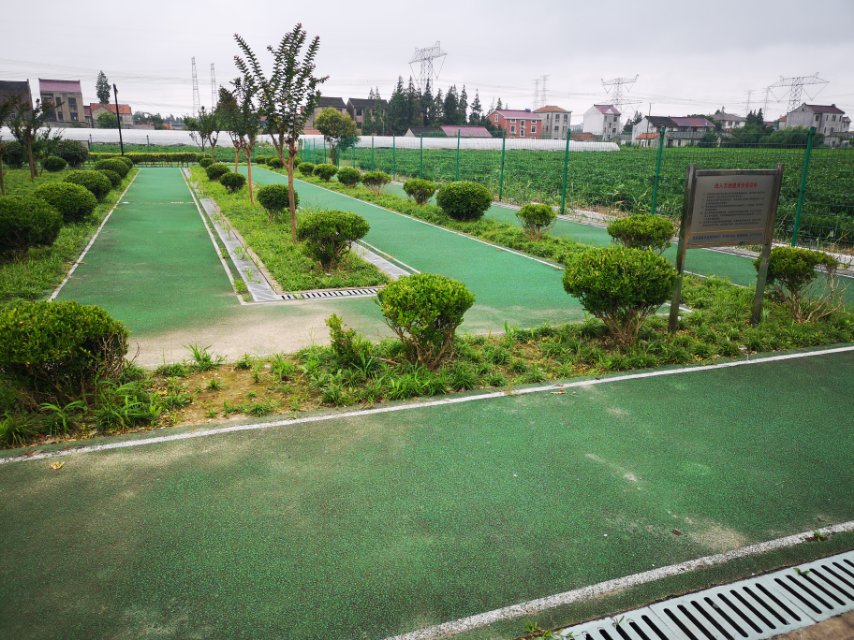 桃园村百姓健身步道