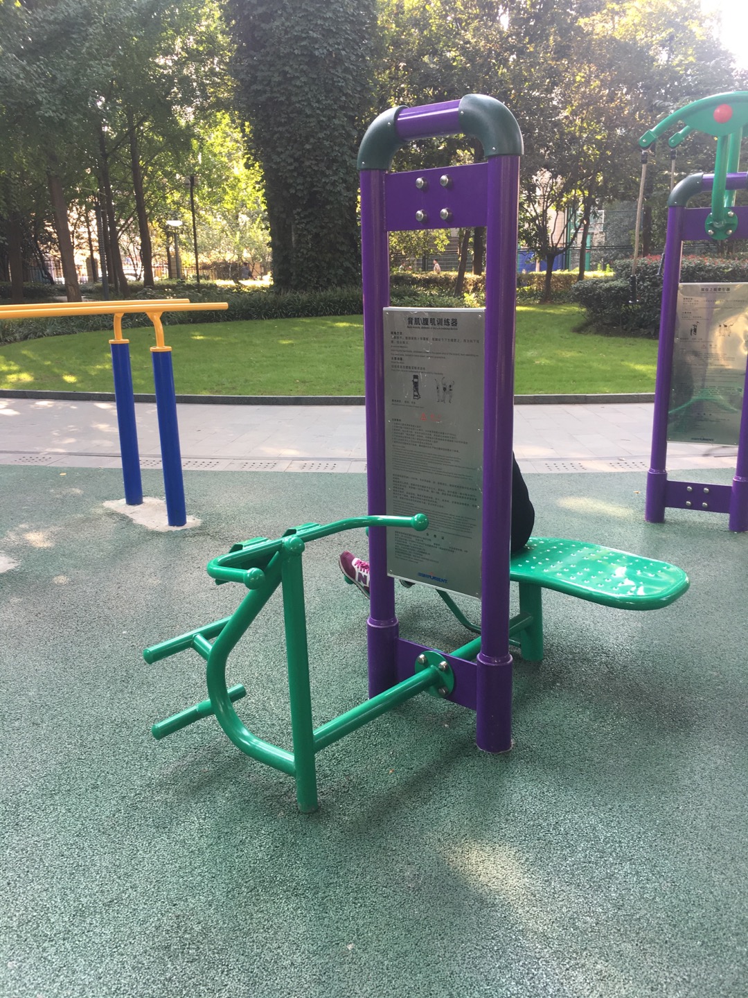 背肌/腹肌训练器