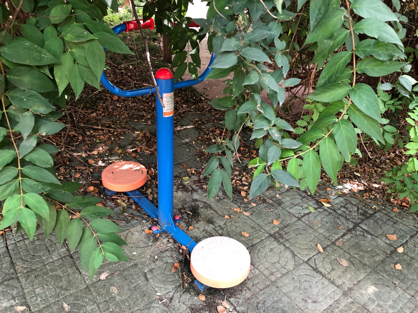 双人扭腰器