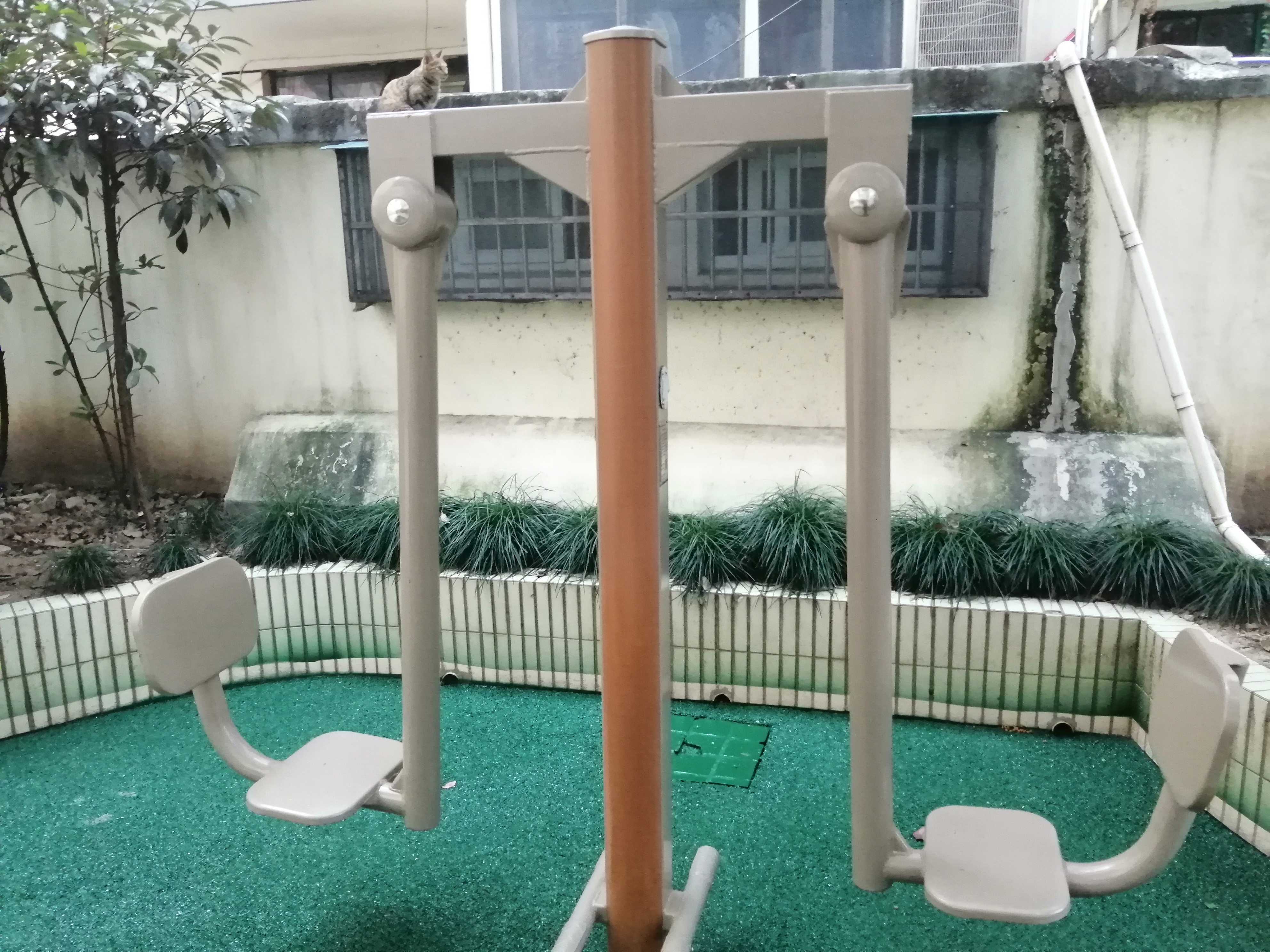 蹬力训练器