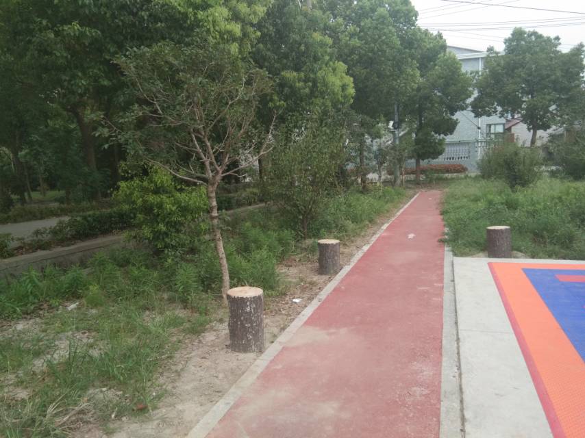 公共运动场