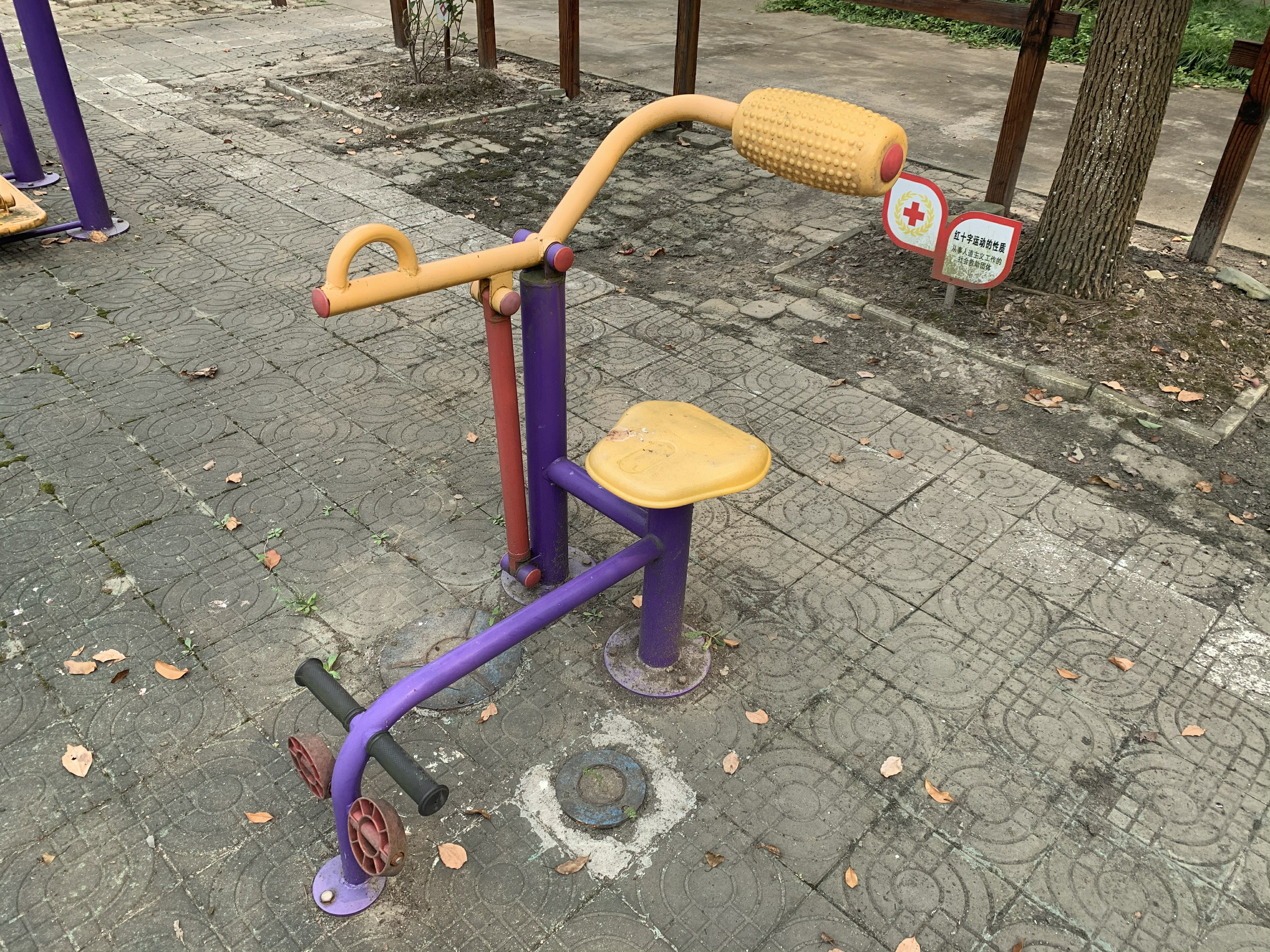 腹背训练器