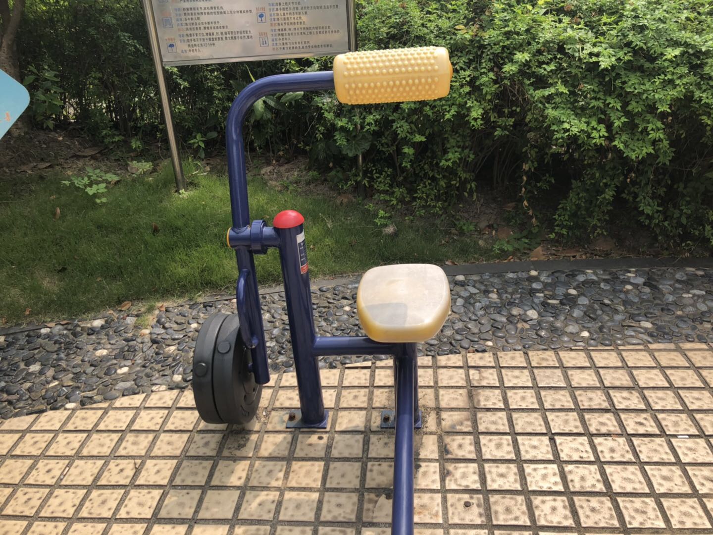 腹背锻炼器