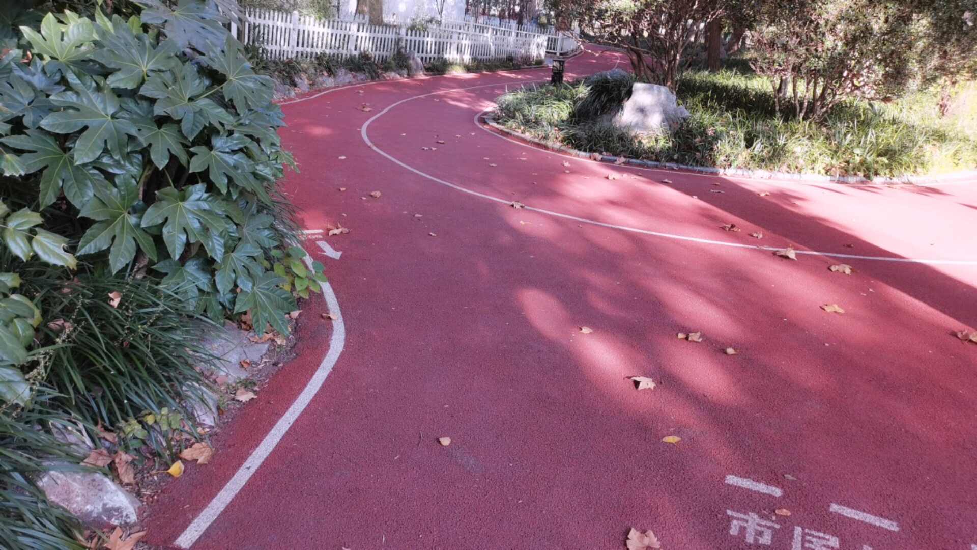 长风公园健身步道2