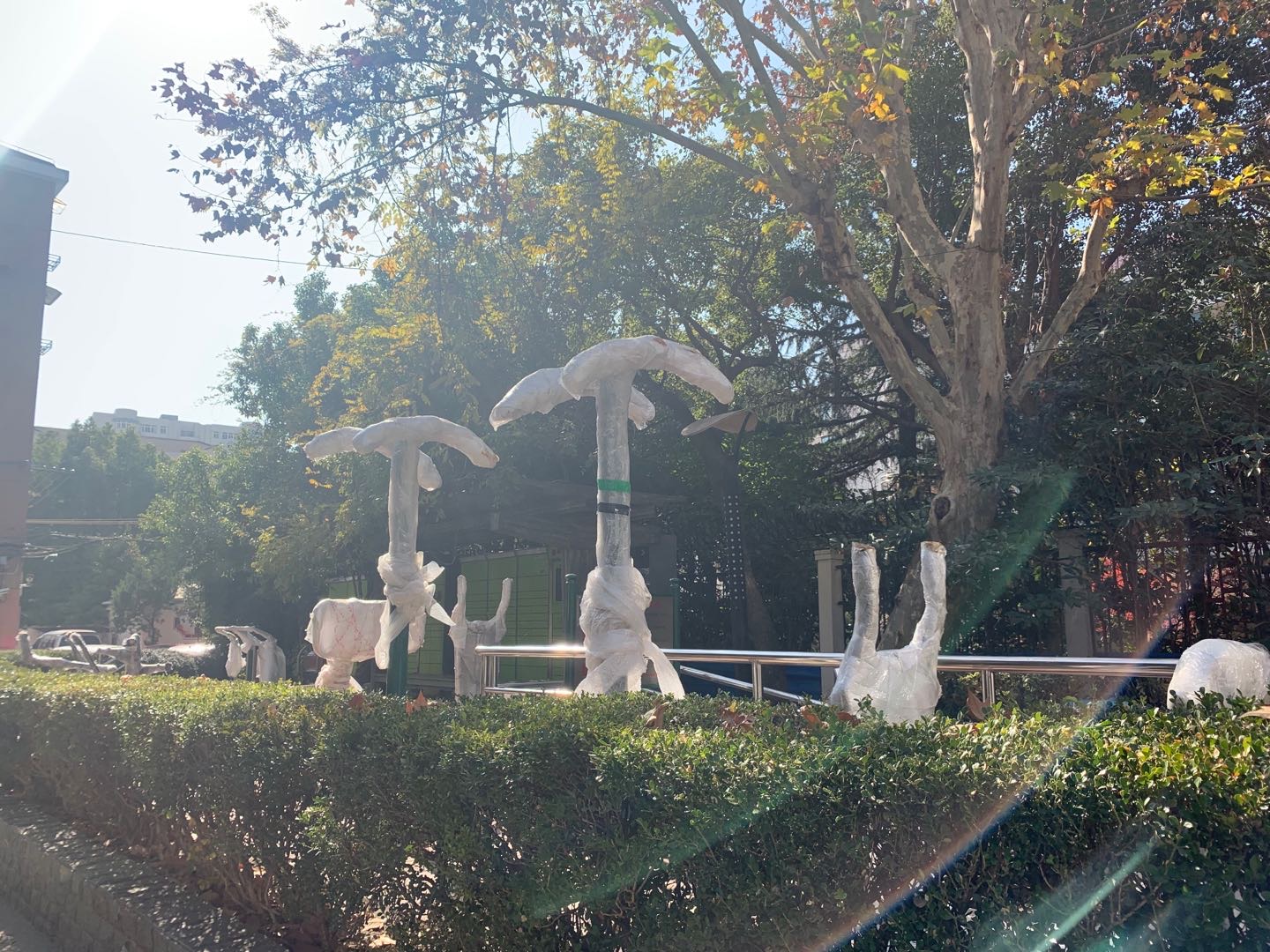 程桥一村市民益智健身点