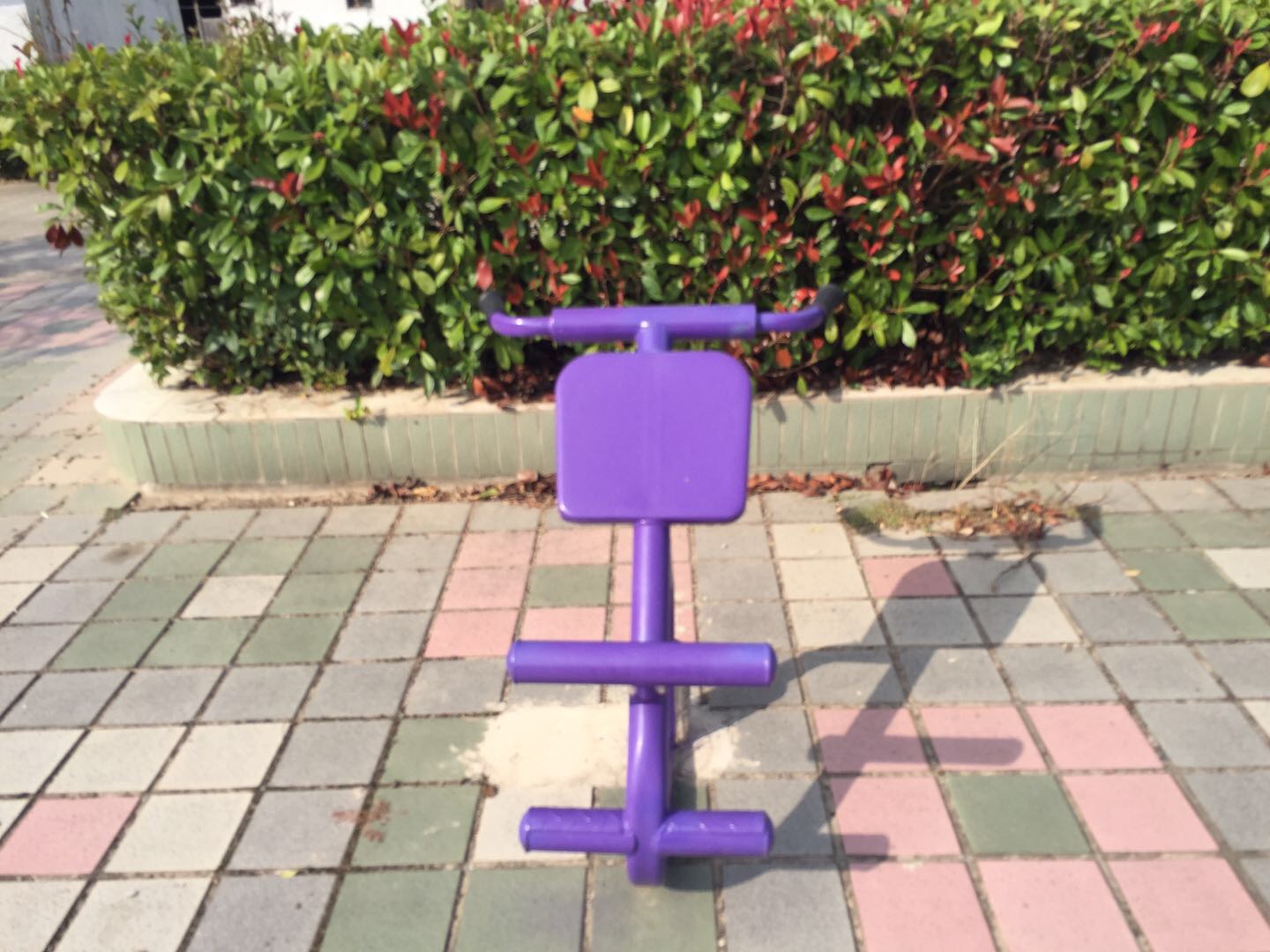 背肌训练器