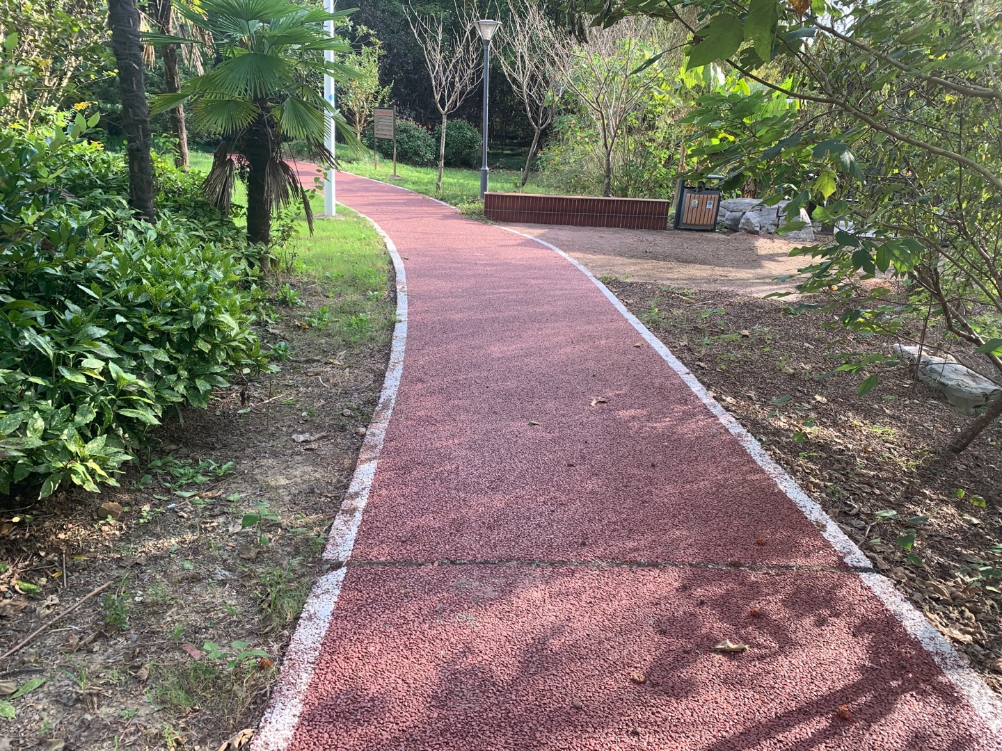 前竖林荫步道