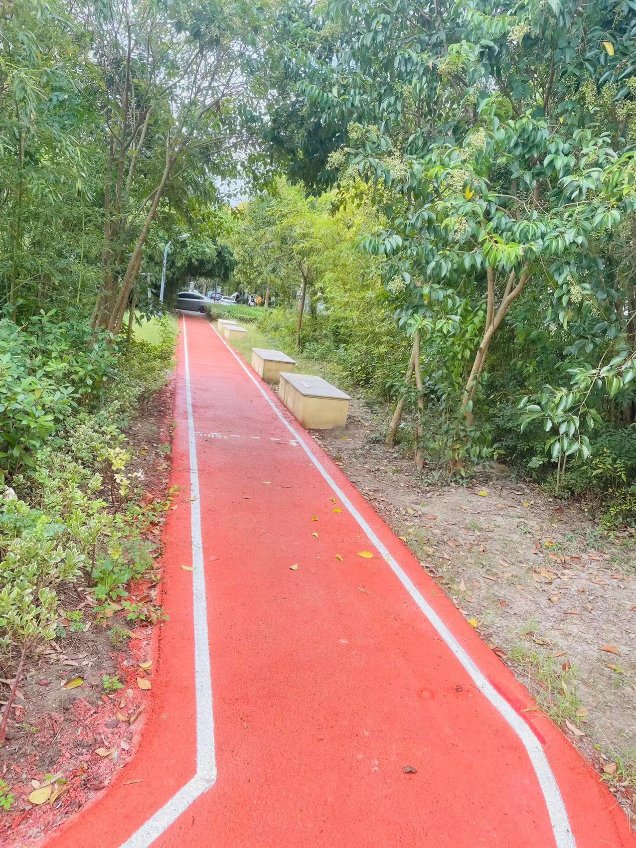 顾村镇古北菊翔苑百姓健身步道