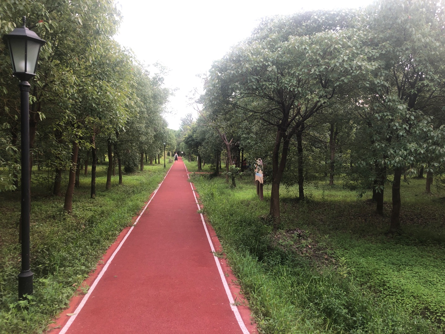 渔沥村健身步道