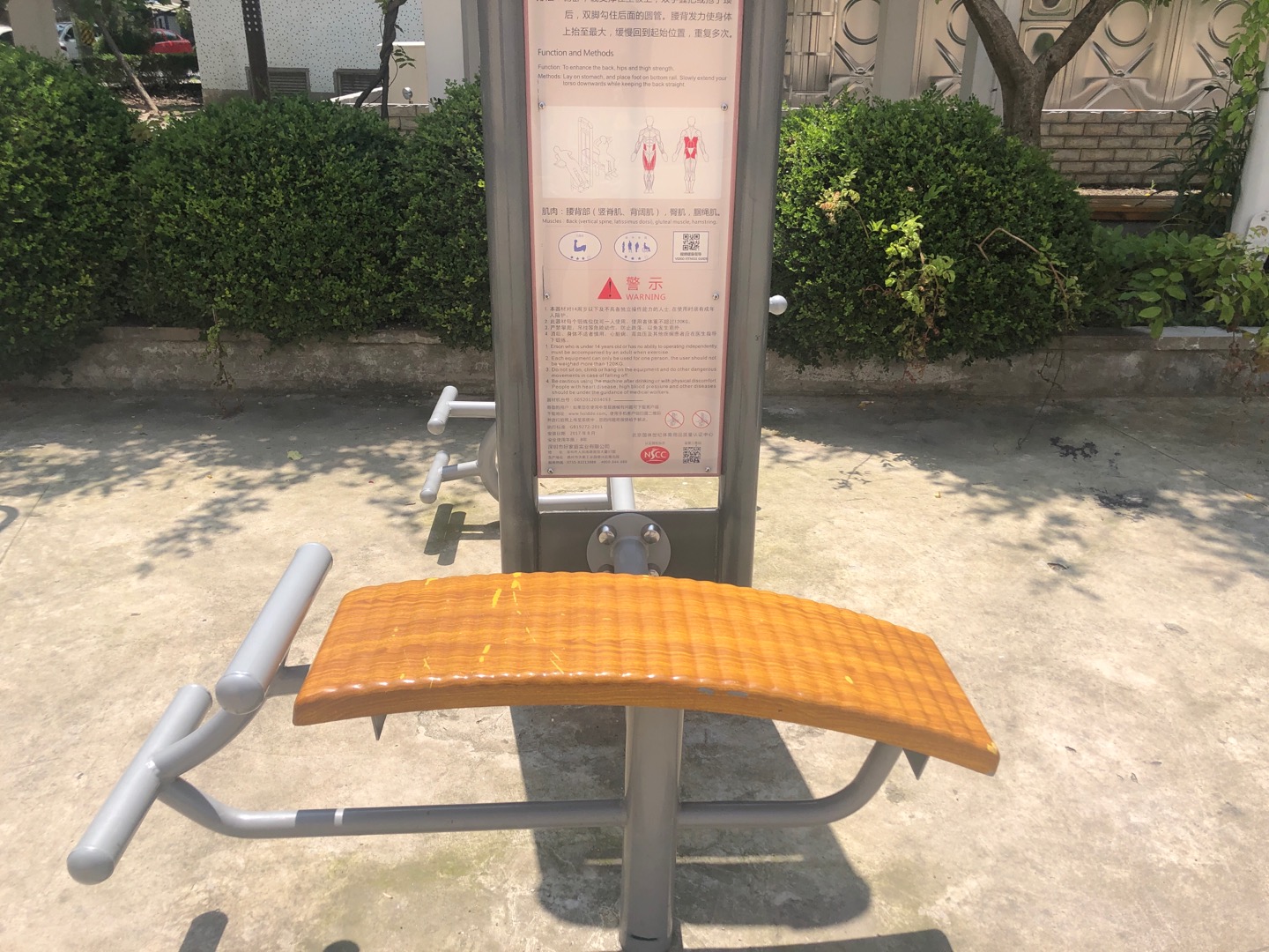 背肌训练器