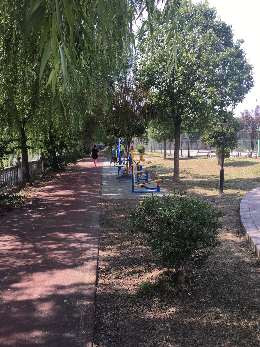 陈家小区健身点