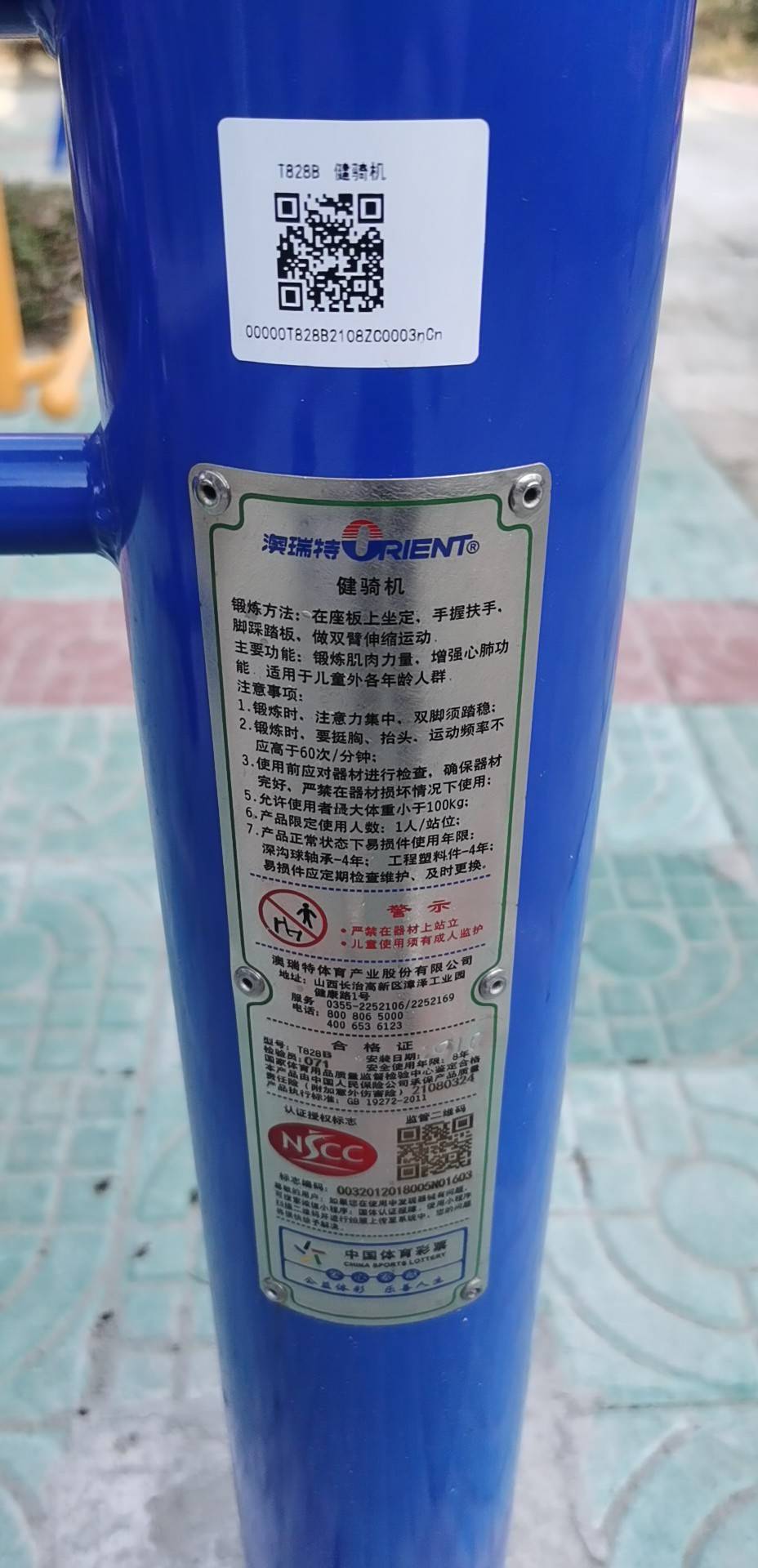 腰力训练器