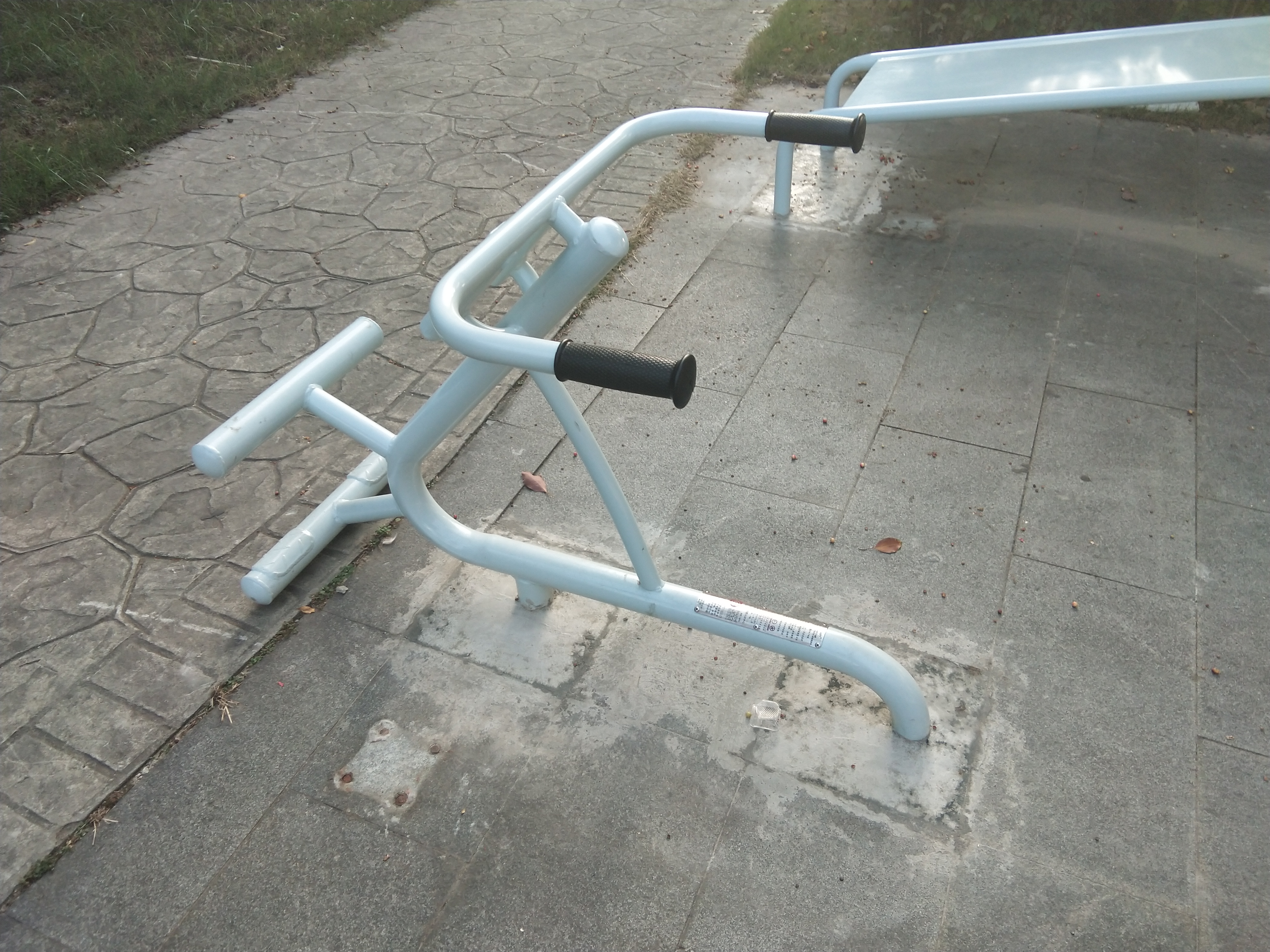 背肌训练器