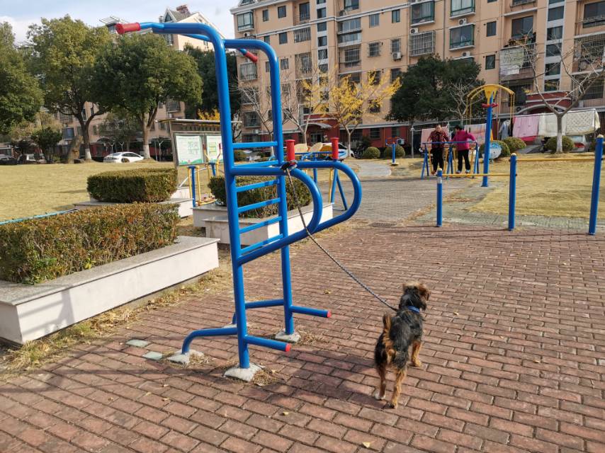 多功能训练器