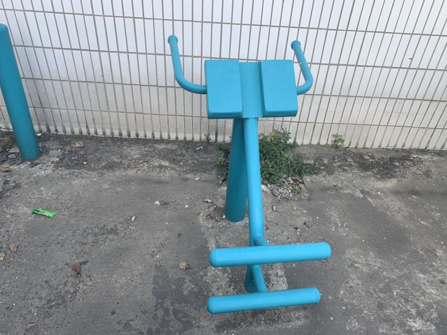 背肌训练器