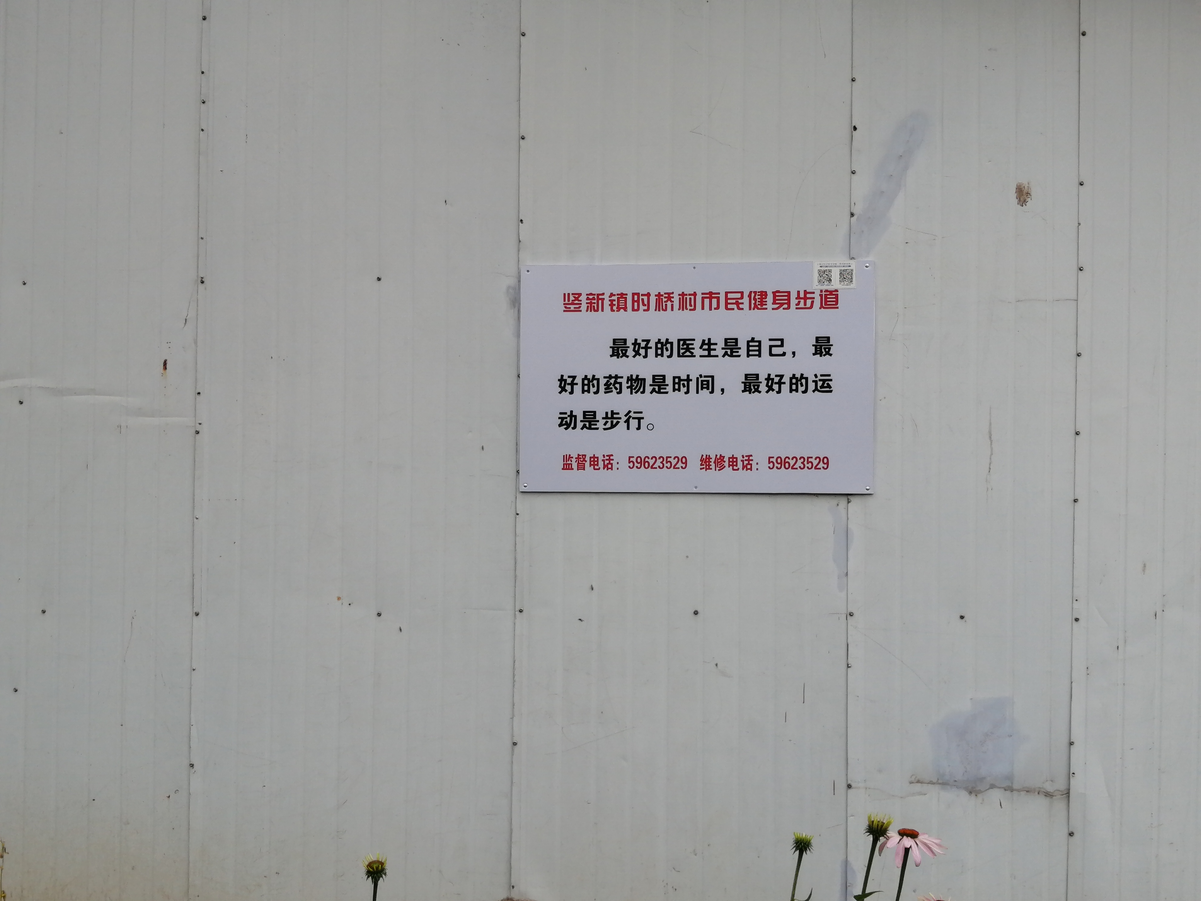时桥村市民健身步道