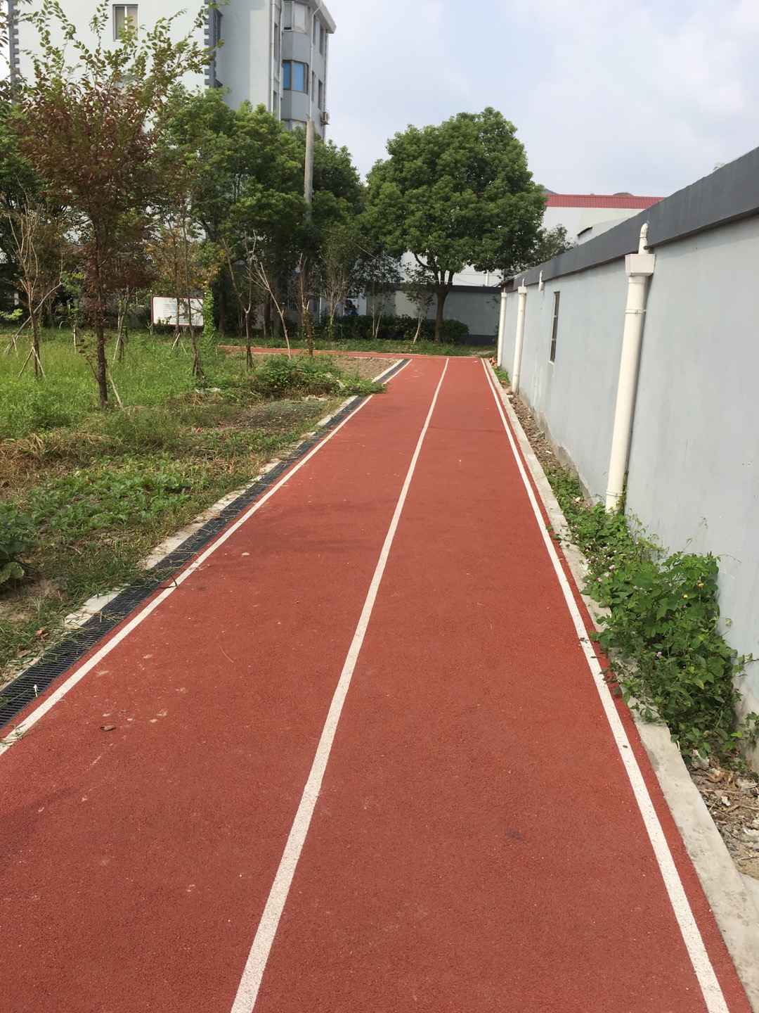 泖港镇格林小区市民健身步道