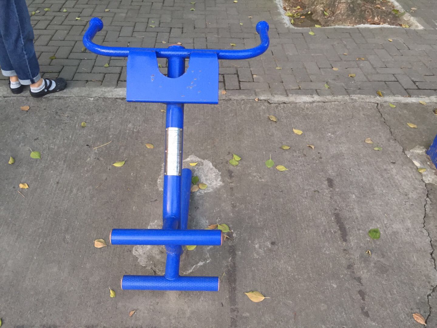 背肌训练器