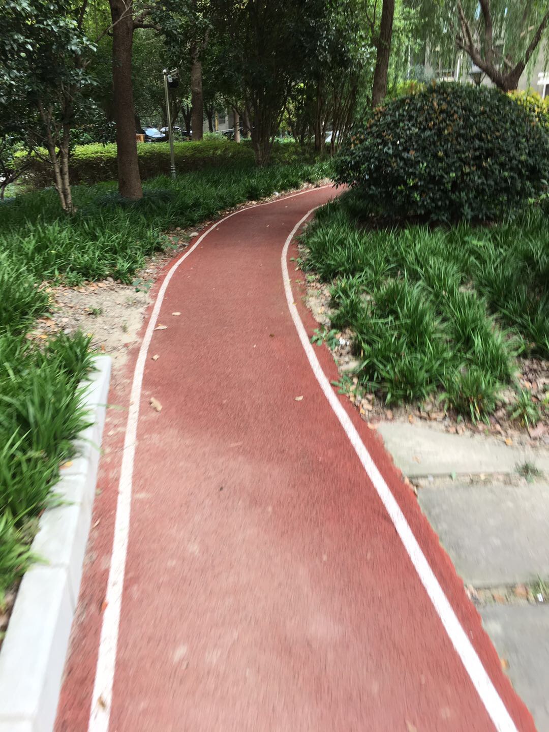 星河世纪城樱树芳庭市民健身步道