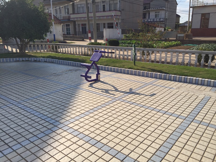 背肌训练器