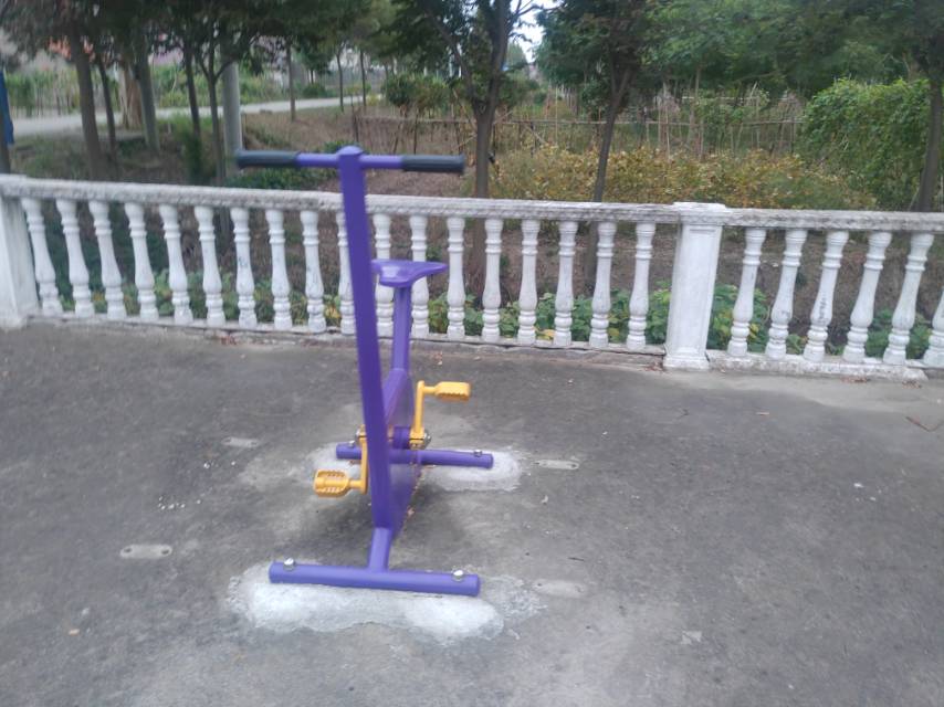 双位健身车