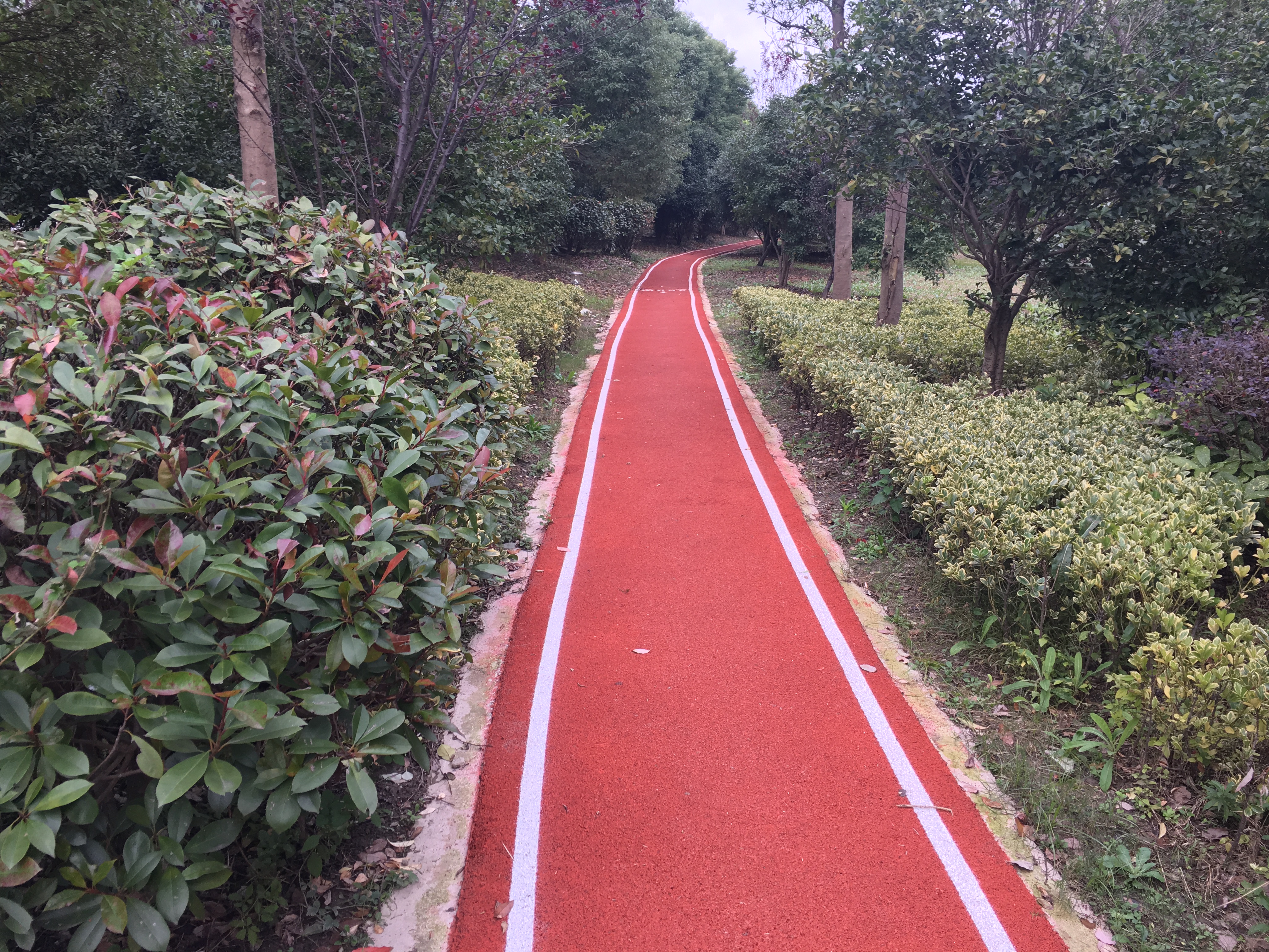 隽翔社区百姓健身步道（西侧）