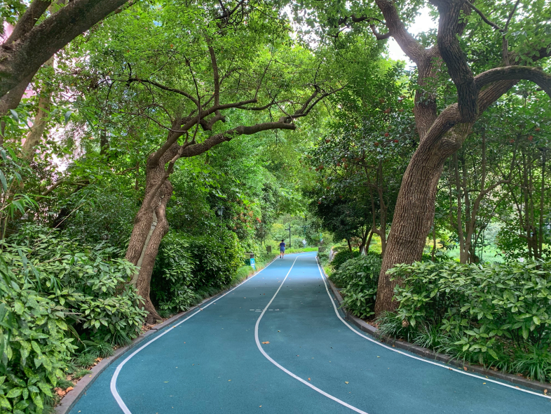 中山公园市民健身步道