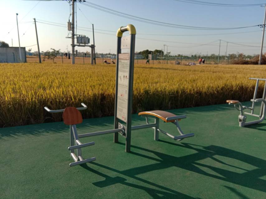 背肌训练器