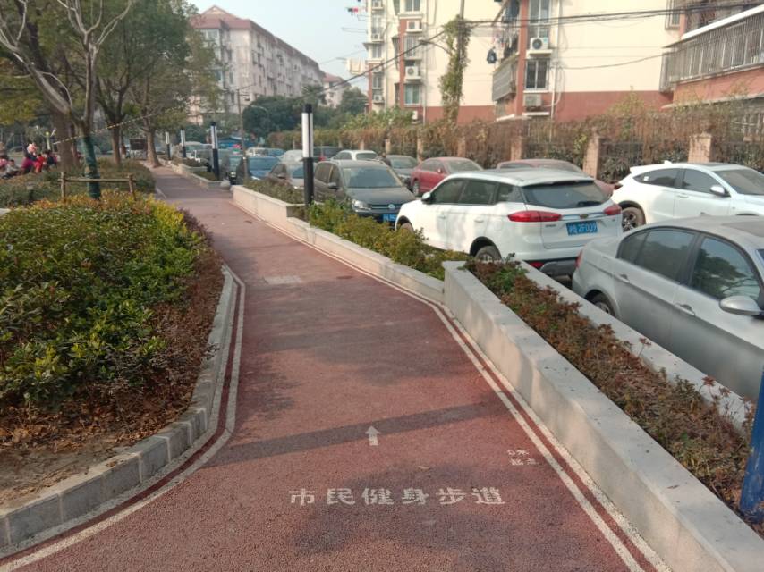 上钞银杏苑市民健身步道