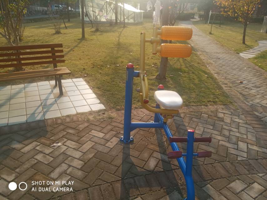 自重腰背锻炼器