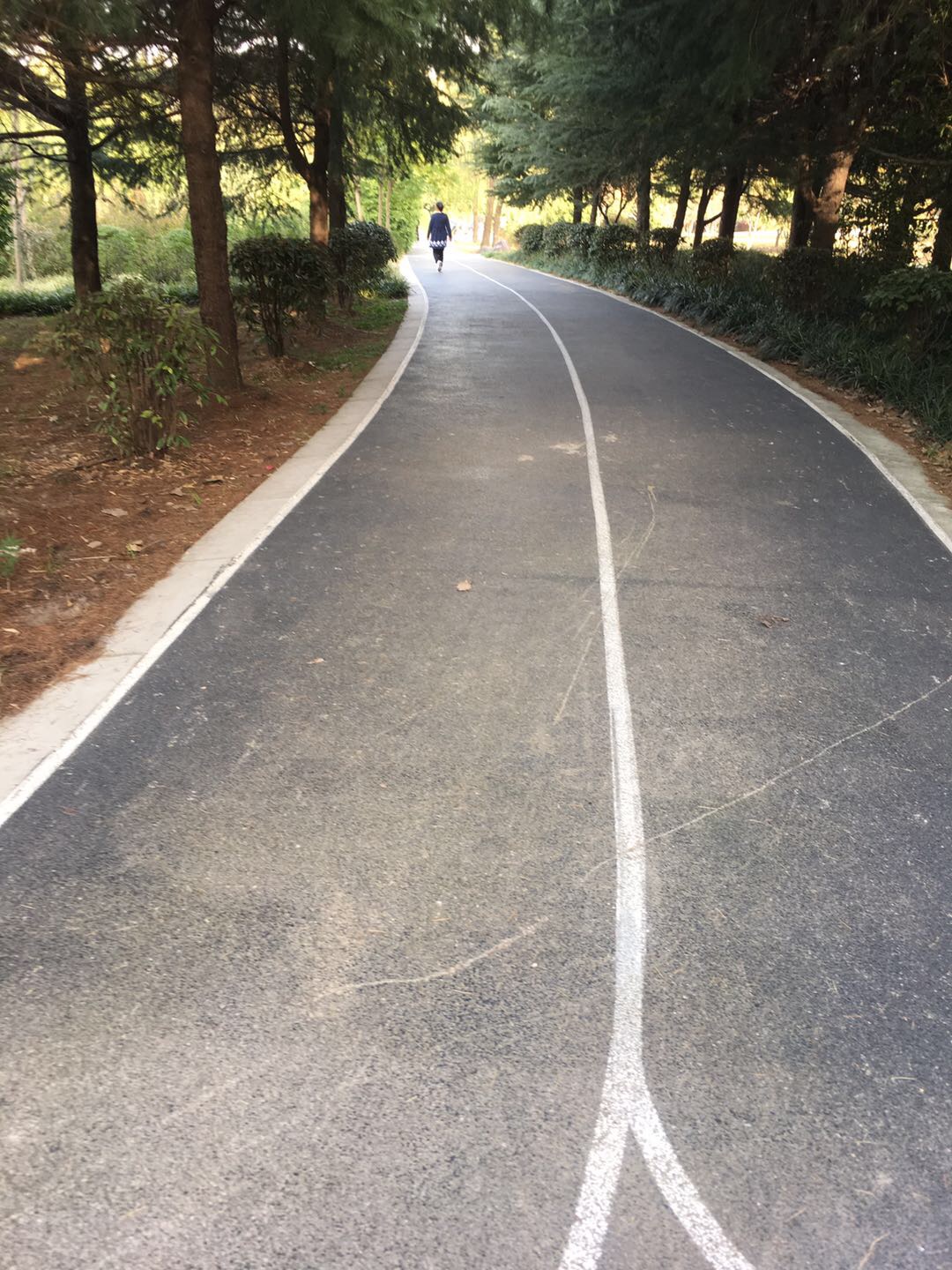 新杨南北厅绿地市民健身步道
