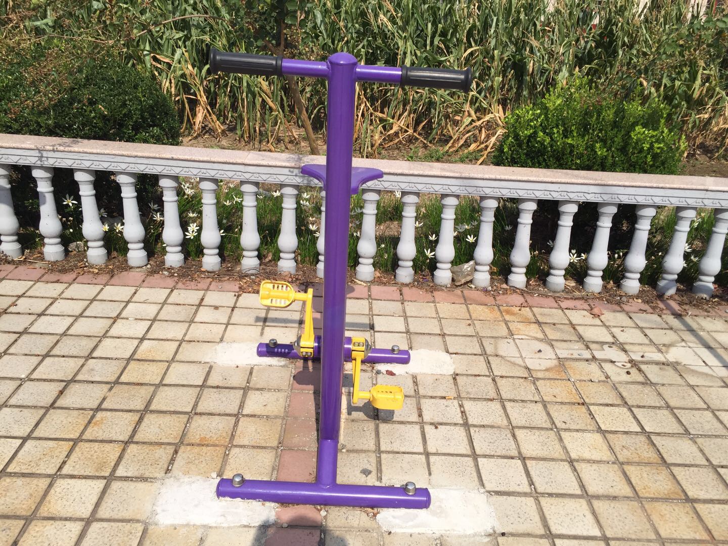 双位健身车
