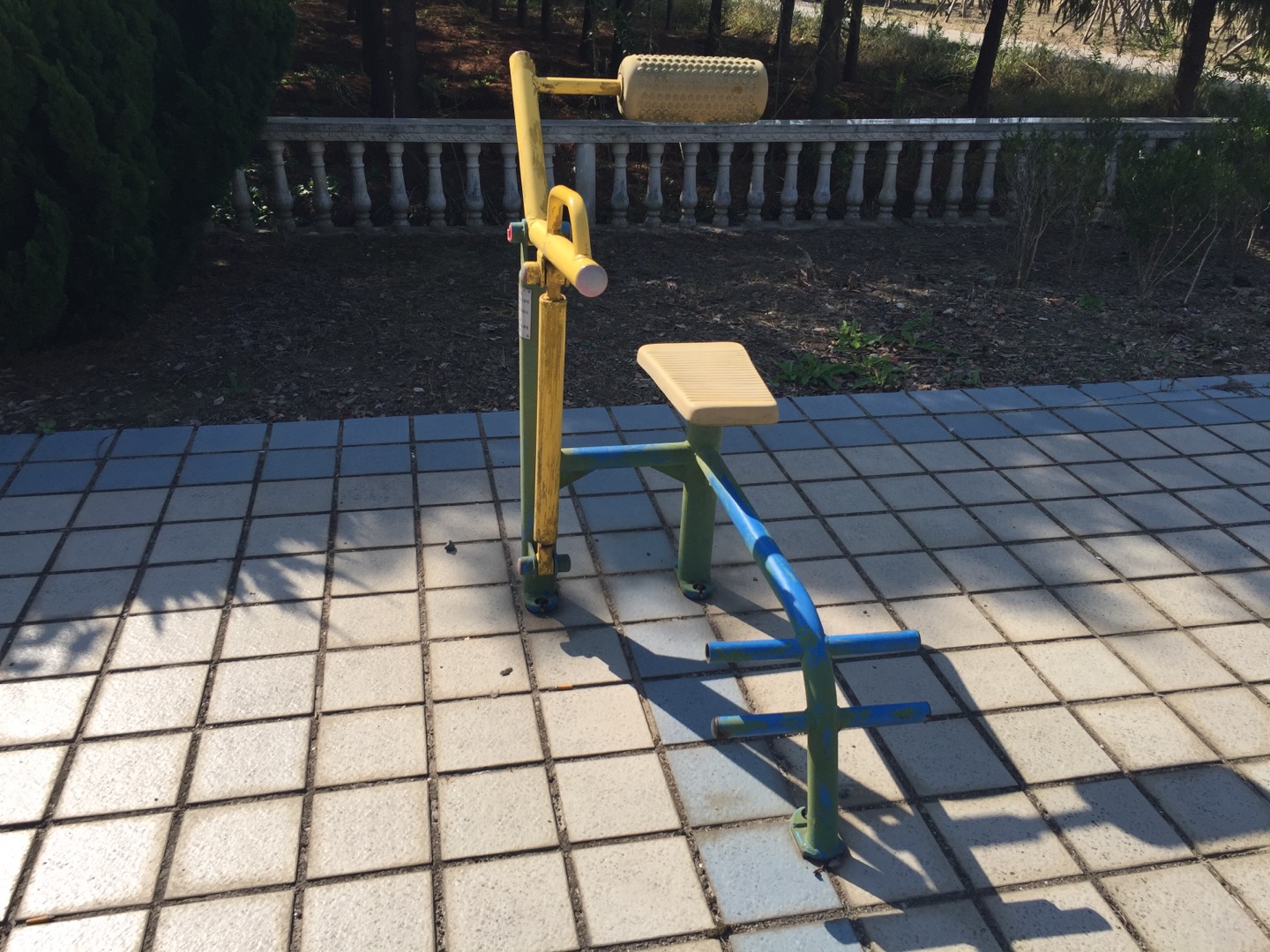 腹背锻炼器