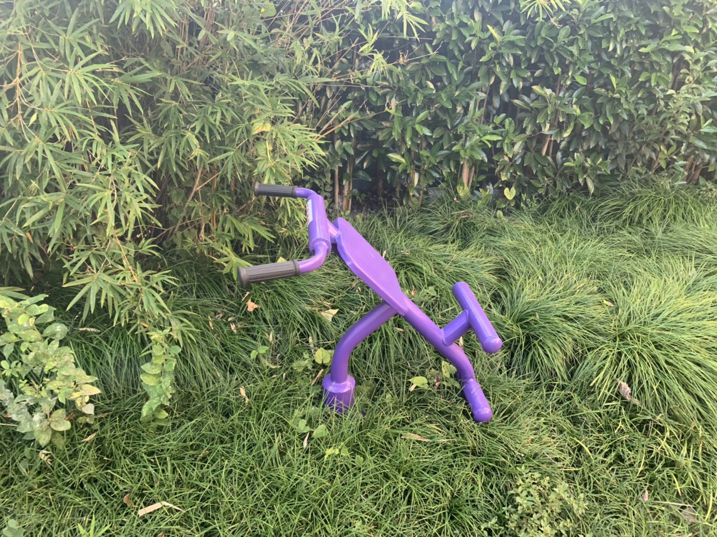 背肌训练器