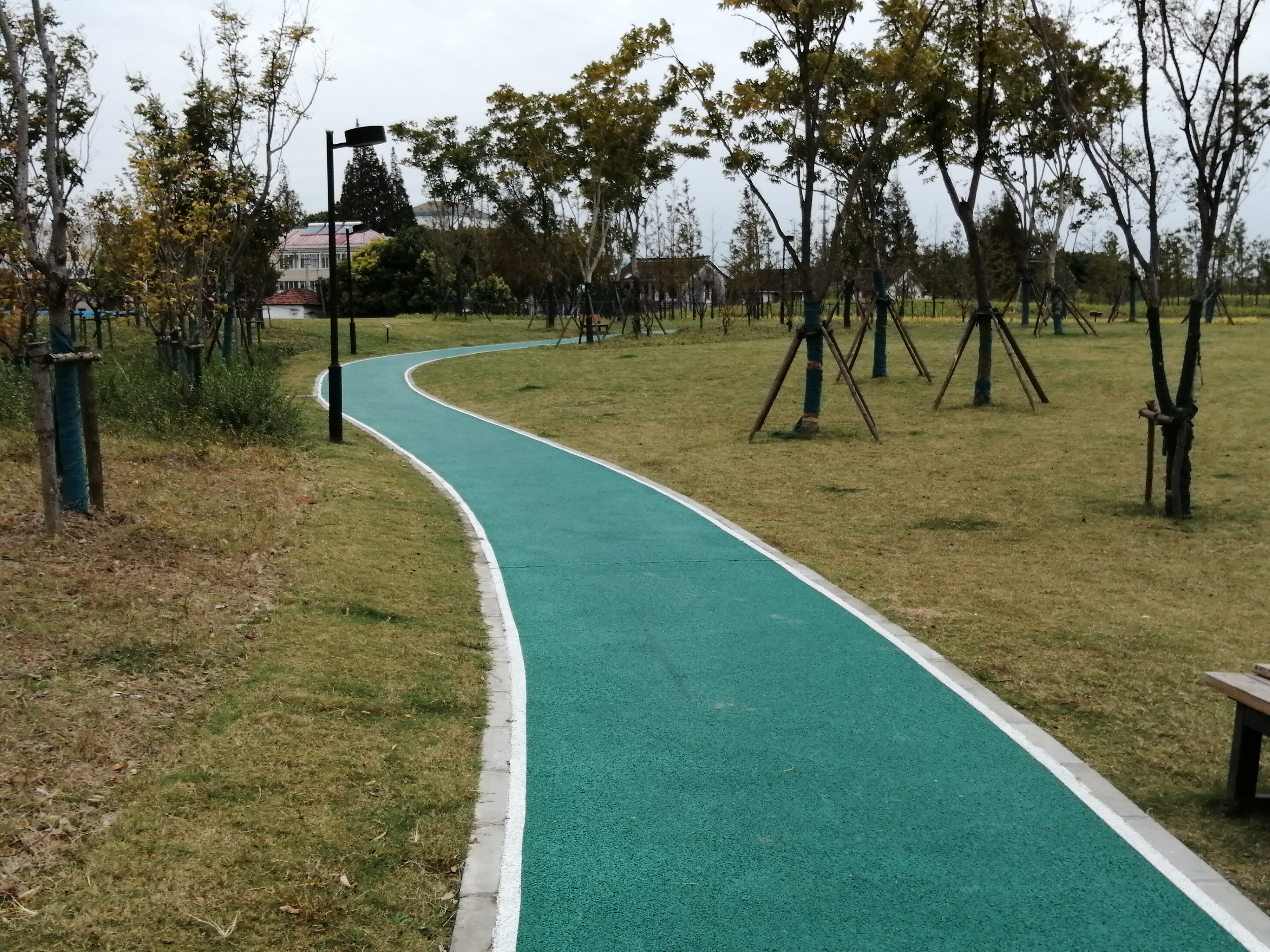 外冈镇葛隆村林地公园市民健身步道