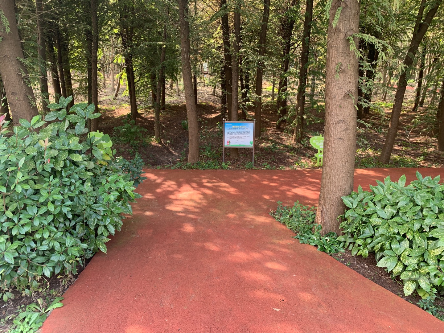 三星镇沈镇村健身步道