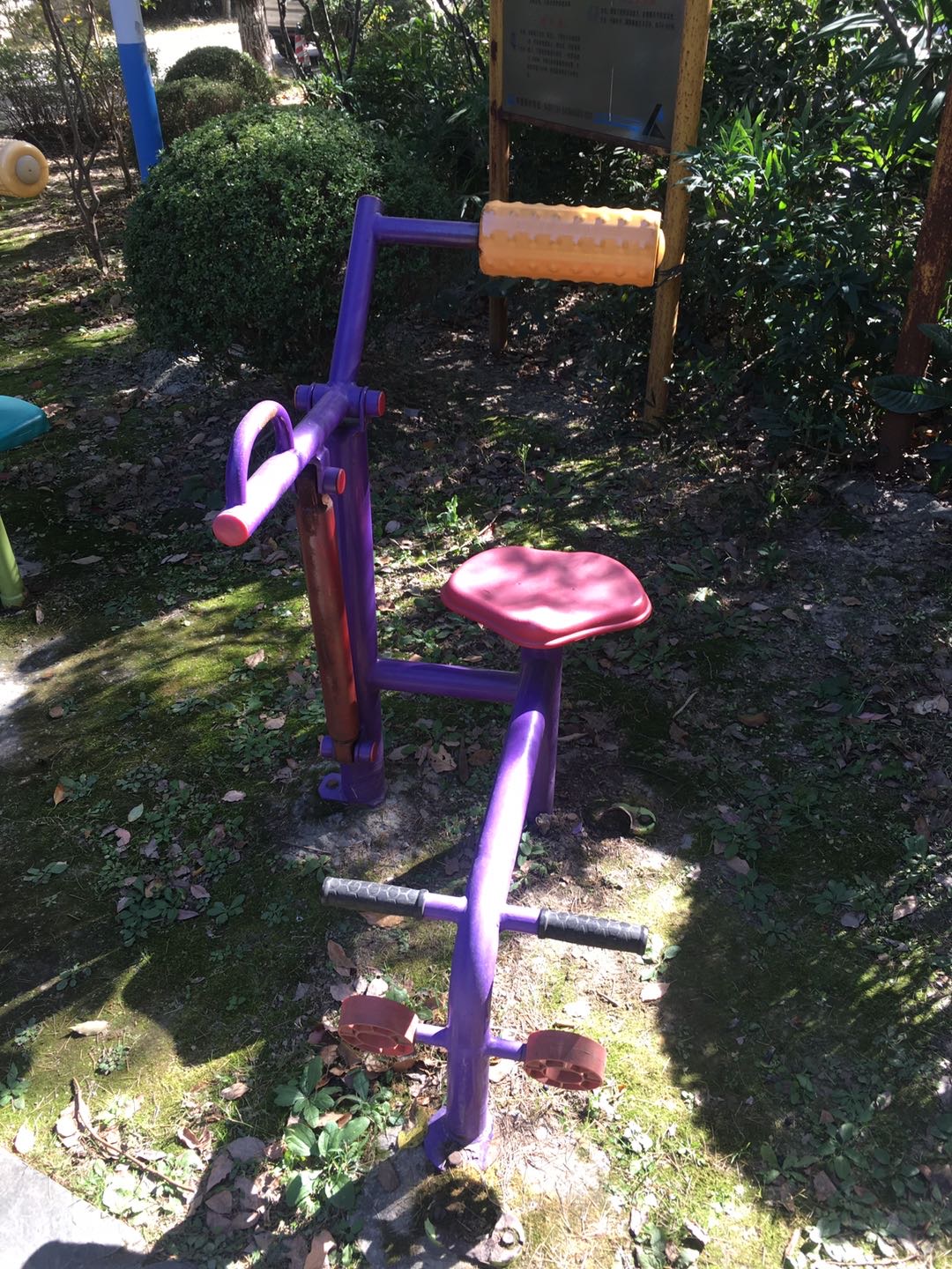 腹背锻炼器