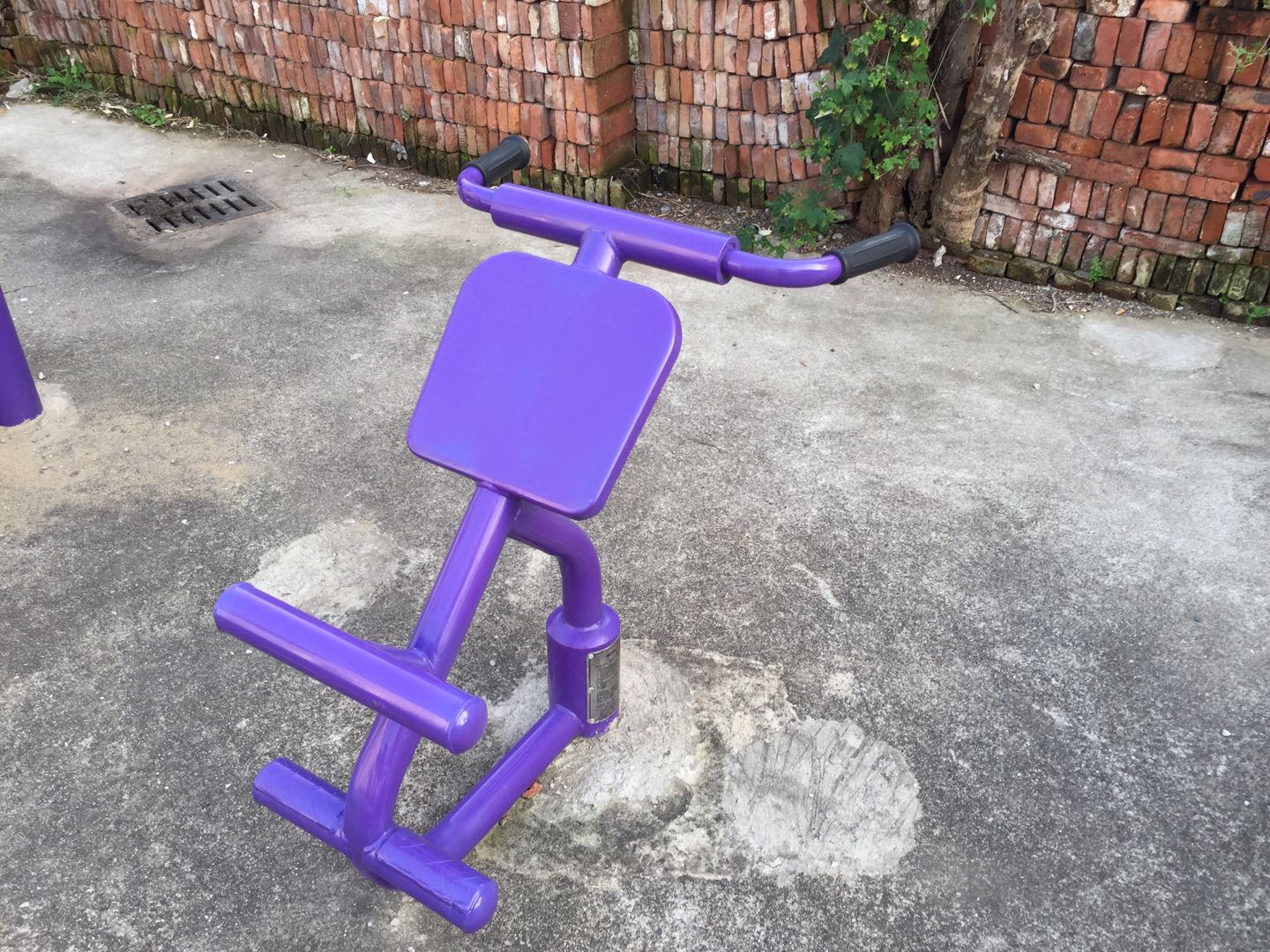 背肌训练器