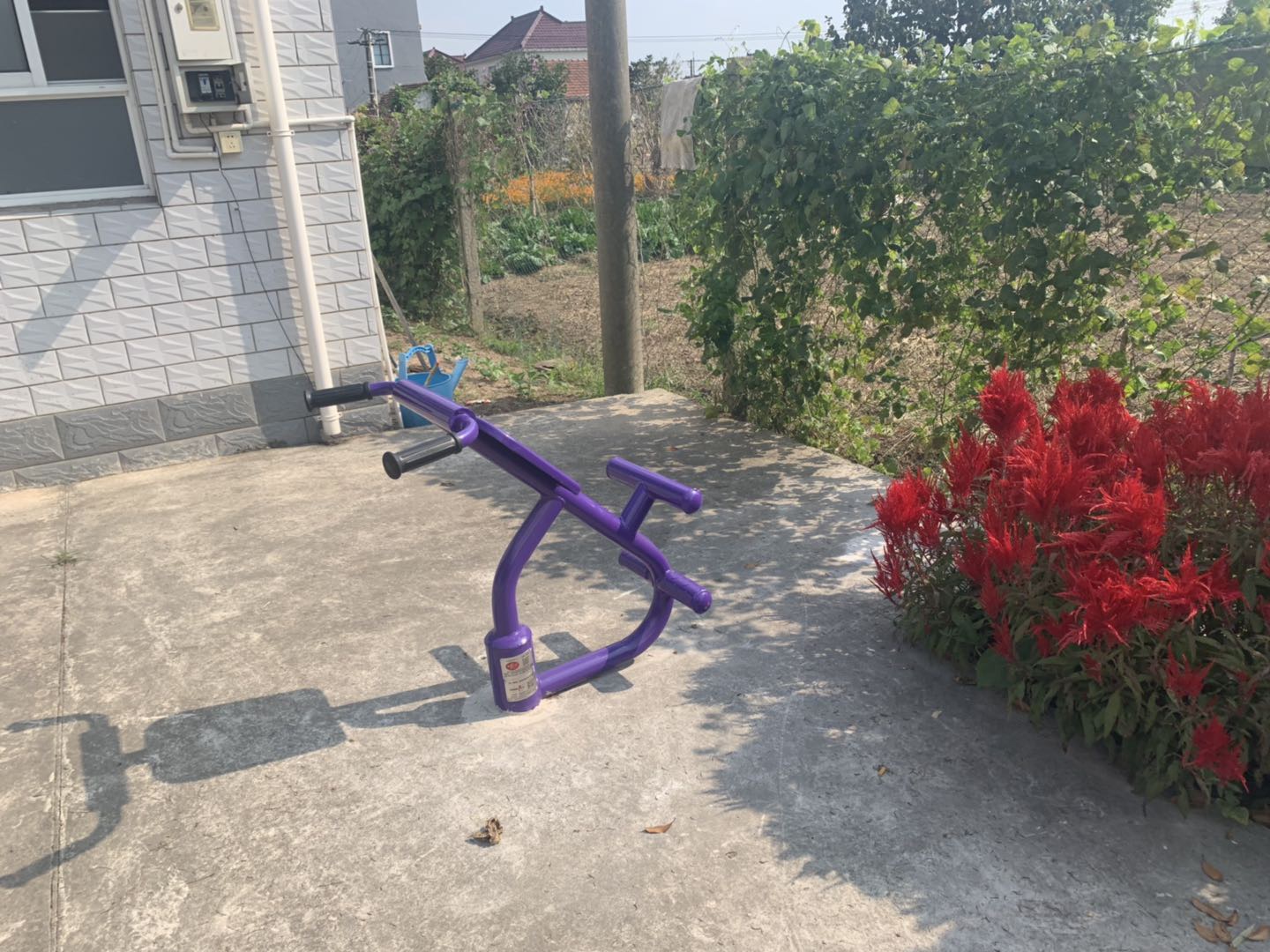 背肌训练器