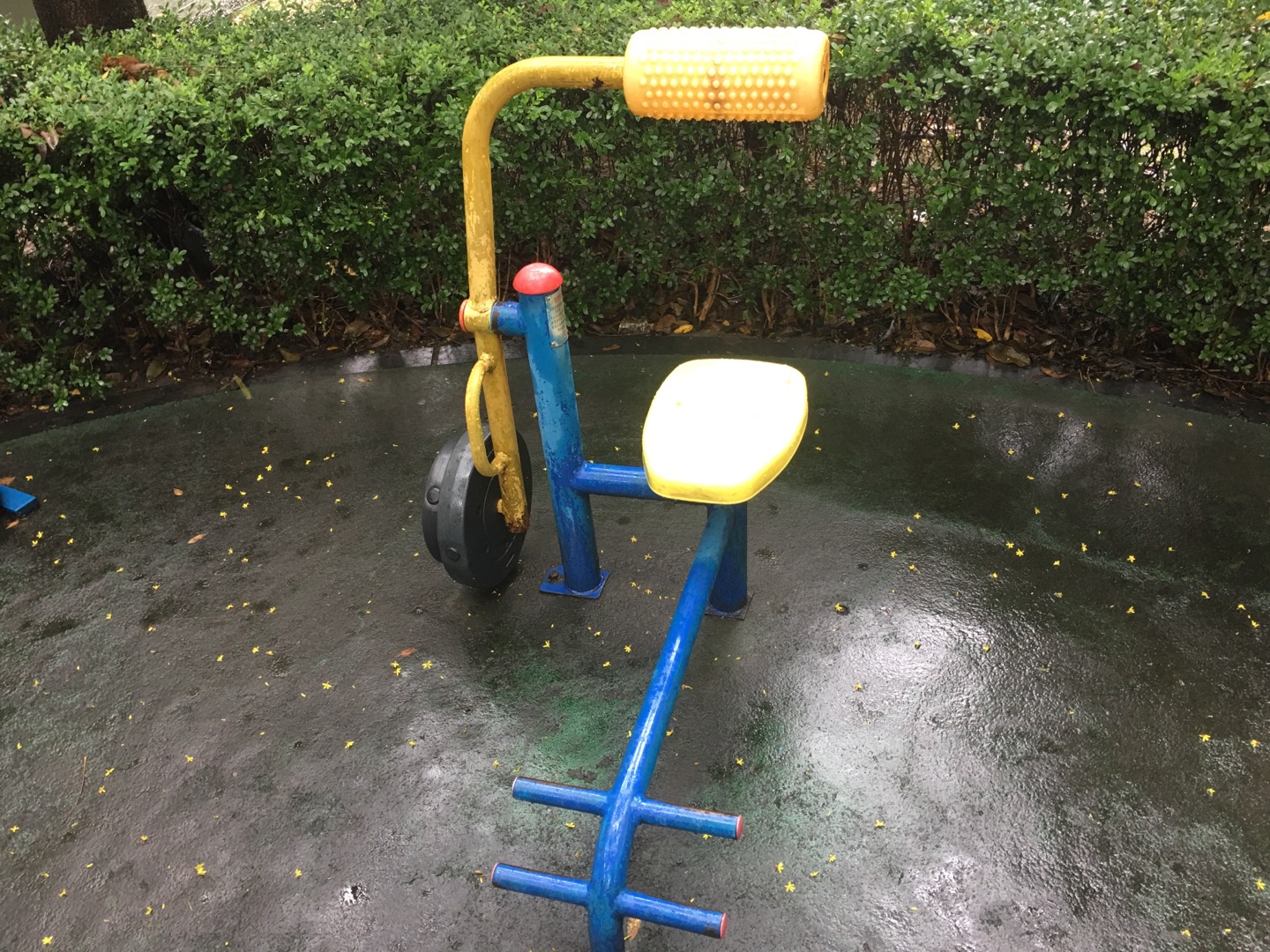 腹背锻炼器